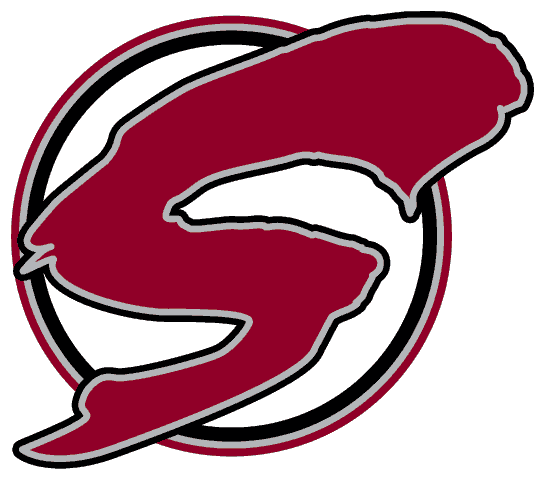 Guelph Storm 1997-2007 Alternate Logo iron on heat transfer